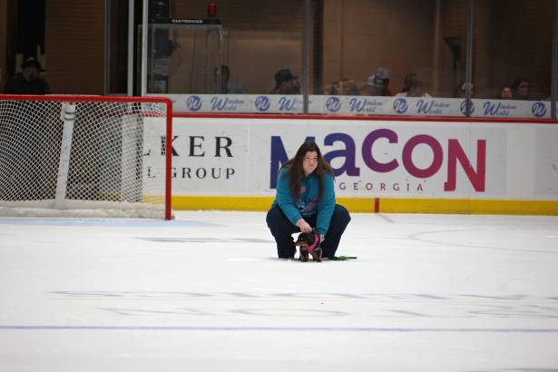Macon Mayhem_260117_IMG_3505