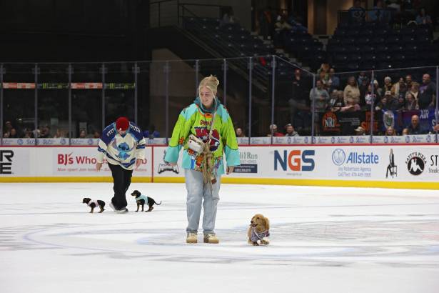 Macon Mayhem_260117_IMG_2405