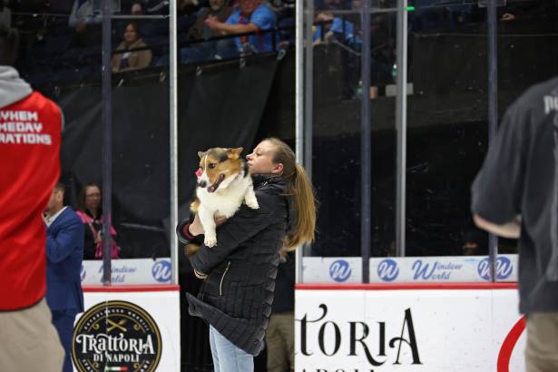 Macon Mayhem_260117_IMG_3579