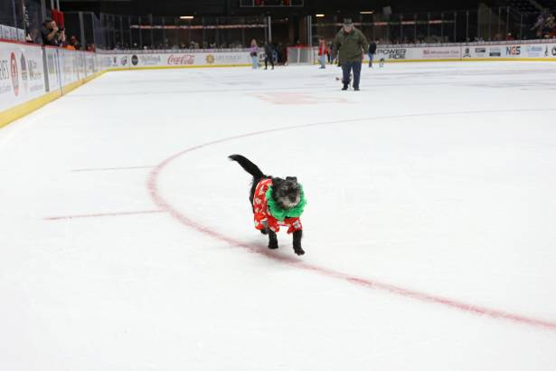 Macon Mayhem_260117_IMG_2307