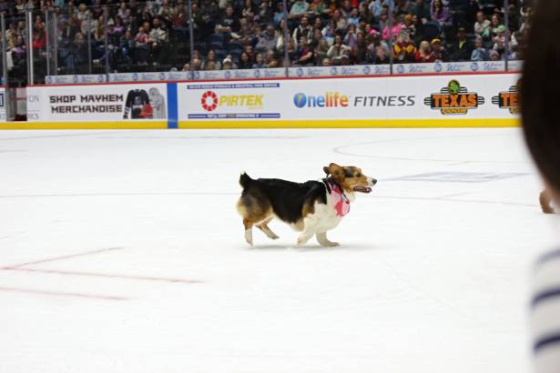 Macon Mayhem_260117_IMG_2295