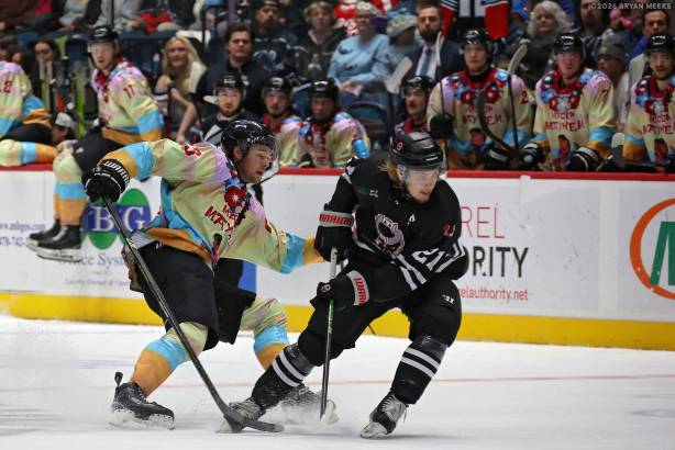 Macon Mayhem_260117_IMG_1988_MHP