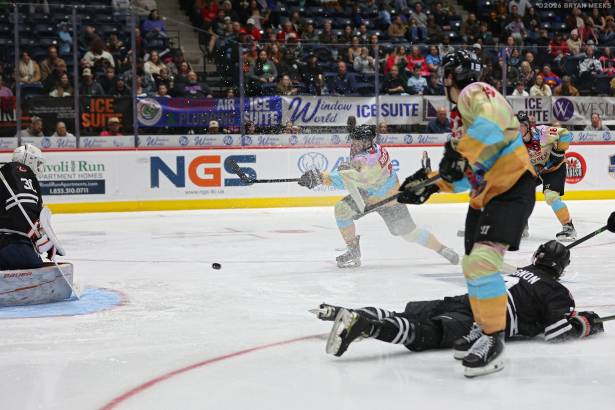 Macon Mayhem_260117_IMG_3975_MHP