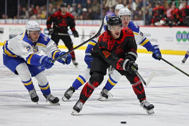 Macon Mayhem_260124_IMG_1926_MHP