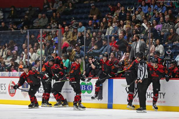 Macon Mayhem_260124_IMG_5957_MHP