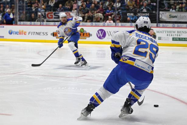 Macon Mayhem_260124_IMG_1693_MHP