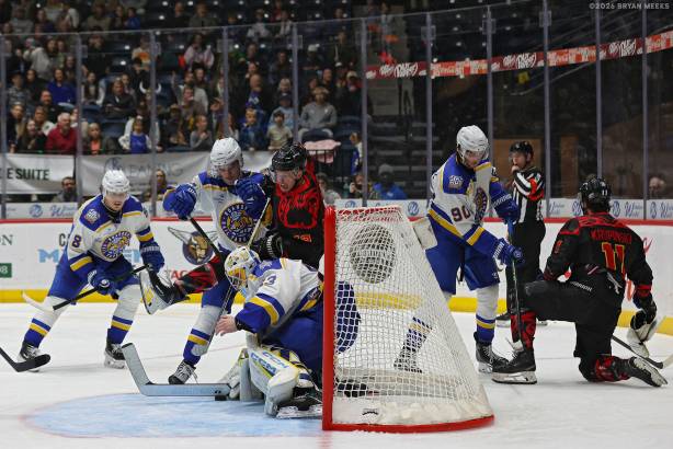 Macon Mayhem_260124_IMG_6267_MHP