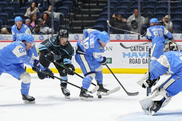 Macon Mayhem_260205_IMG_3680_MHP