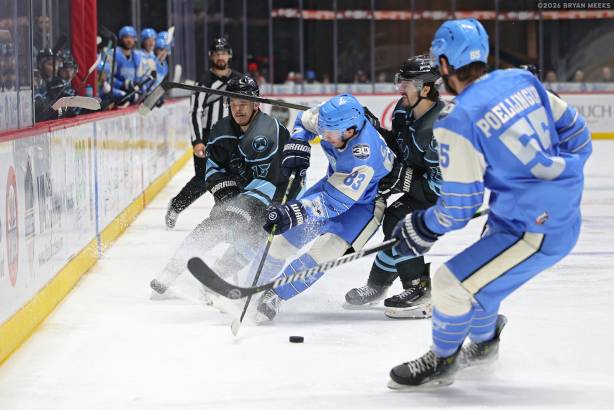 Macon Mayhem_260205_IMG_3698_MHP