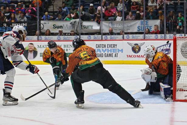 Macon Mayhem_260207_IMG_3797_MHP