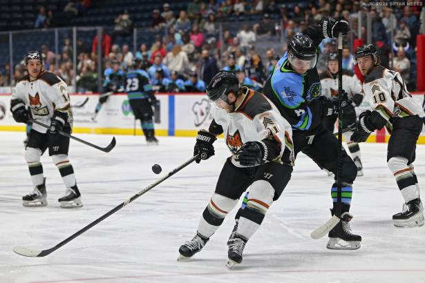 Macon Mayhem_260227_IMG_1662_MHP