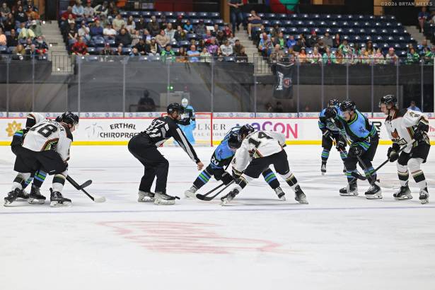 Macon Mayhem_260227_IMG_1860_MHP