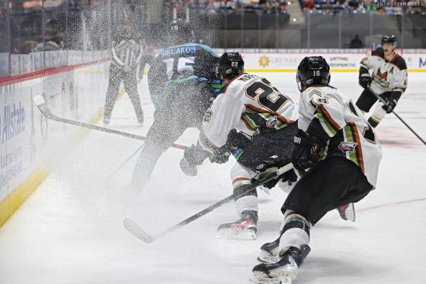 Macon Mayhem_260227_IMG_2018_MHP