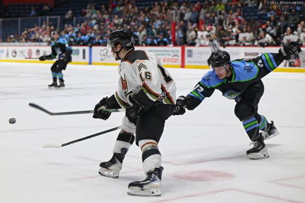 Macon Mayhem_260227_IMG_2453_MHP