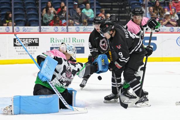 Macon Mayhem_260307_IMG_8722_MHP