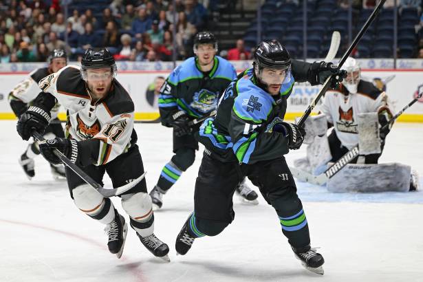 Macon Mayhem_260228_DN_IMG_4016_Portfolio