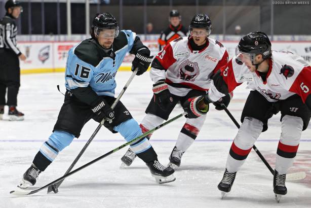Macon Mayhem_261024_IMG_2758_MHP
