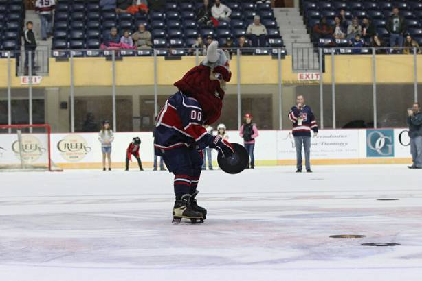 Macon Mayhem 191109_IMG_8292