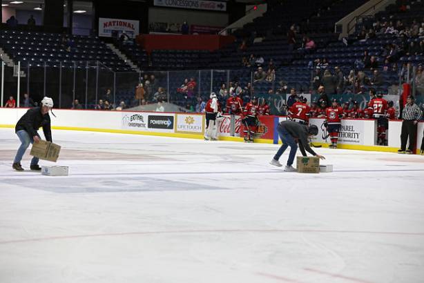 Macon Mayhem 220114_DN_IMG_2009
