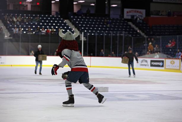 Macon Mayhem 220114_DN_IMG_2006