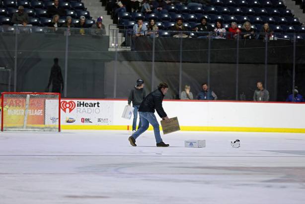 Macon Mayhem 220114_DN_IMG_2041