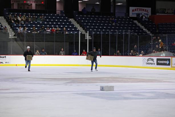 Macon Mayhem 220114_DN_IMG_2001