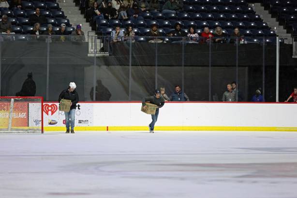 Macon Mayhem 220114_DN_IMG_1995