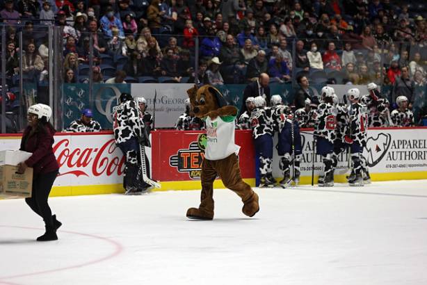 Macon Mayhem 220115_DN_IMG_2361