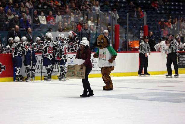 Macon Mayhem 220115_DN_IMG_2353