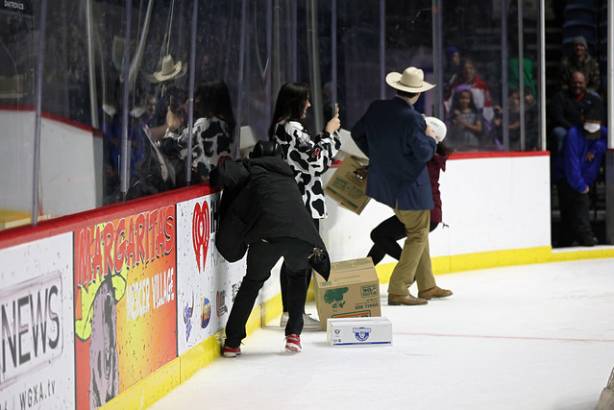 Macon Mayhem 220115_DN_IMG_2386