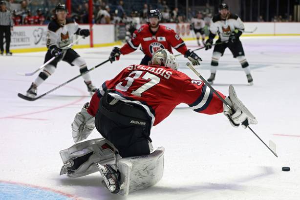 Macon_Mayhem_211029_DN_IMG_1615_Portfolio