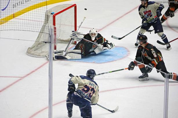 Macon Mayhem 231027_DN_SS_IMG_3194