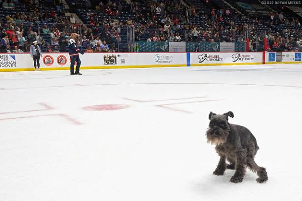 Macon Mayhem 231125_DN_SS_SS_IMG_2266_MHP