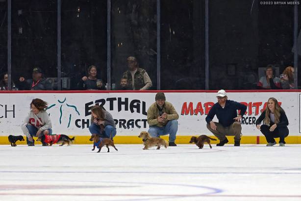 Macon Mayhem 231125_DN_SS_SS_IMG_2357_MHP