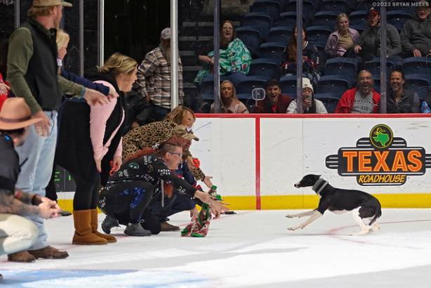 Macon Mayhem 231125_DN_SS_SS_IMG_2217_MHP