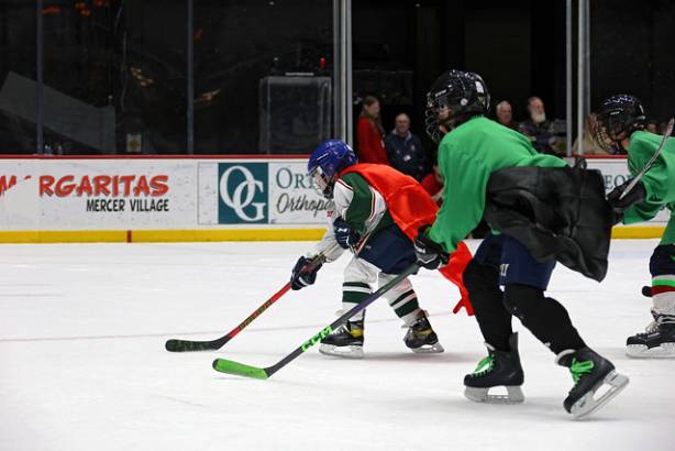 Macon Mayhem 240113_DN_IMG_2427