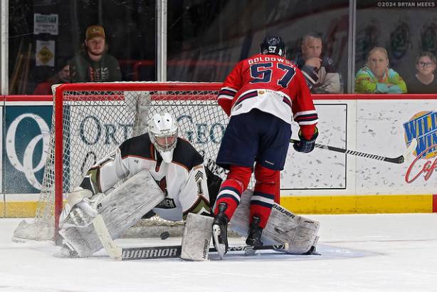 Macon Mayhem 240112_DN_SS_IMG_8261_MHP