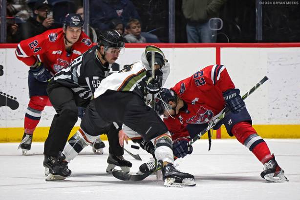 Macon Mayhem 240112_DN_SS_IMG_7493_MHP