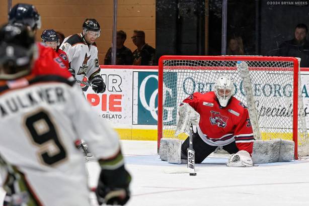 Macon Mayhem 240112_DN_SS_IMG_6398_MHP