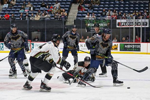 Macon Mayhem 240113_DN_SS_IMG_1461_MHP