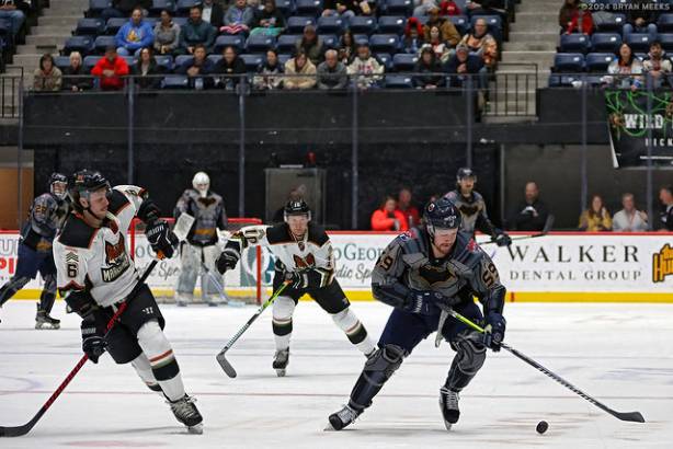 Macon Mayhem 240113_DN_SS_IMG_1628_MHP