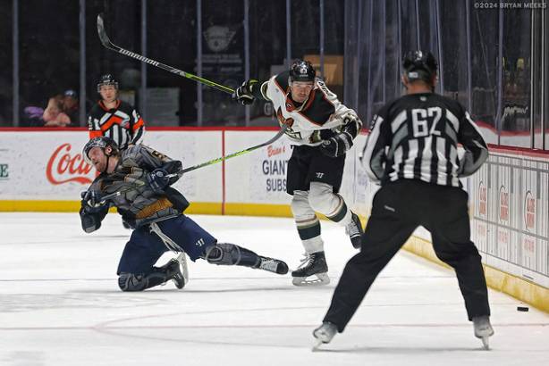 Macon Mayhem 240113_DN_SS_IMG_3845_MHP