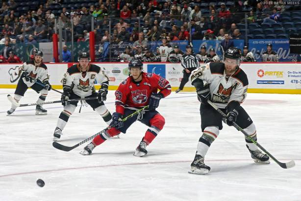 Macon Mayhem 240112_DN_SS_IMG_4946_MHP