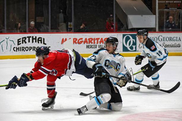 Macon Mayhem 240115_DN_SS_IMG_5359_MHP