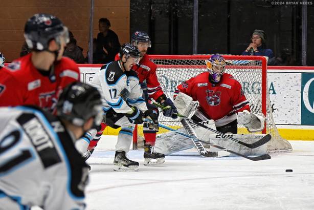 Macon Mayhem 240115_DN_SS_IMG_5297_MHP