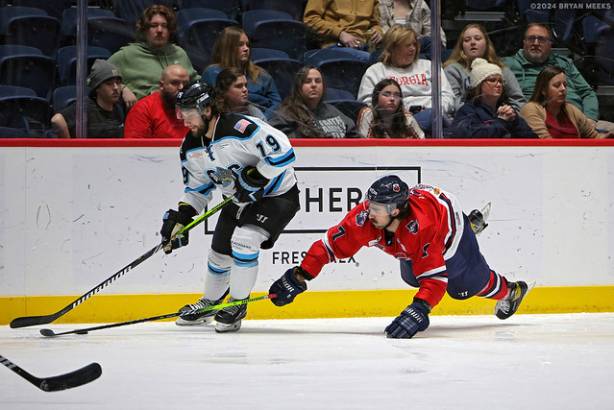 Macon Mayhem 240115_DN_SS_IMG_4708_MHP