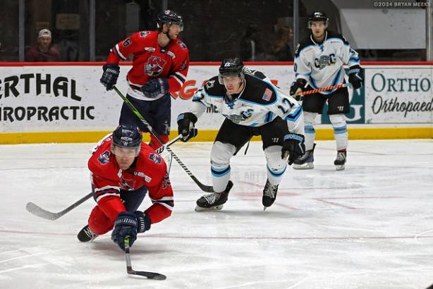 Macon Mayhem 240115_DN_SS_IMG_4787_MHP