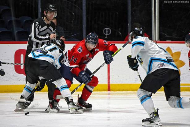 Macon Mayhem 240115_DN_SS_IMG_4701_MHP