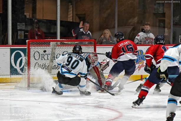 Macon Mayhem 240115_DN_SS_IMG_4532_MHP