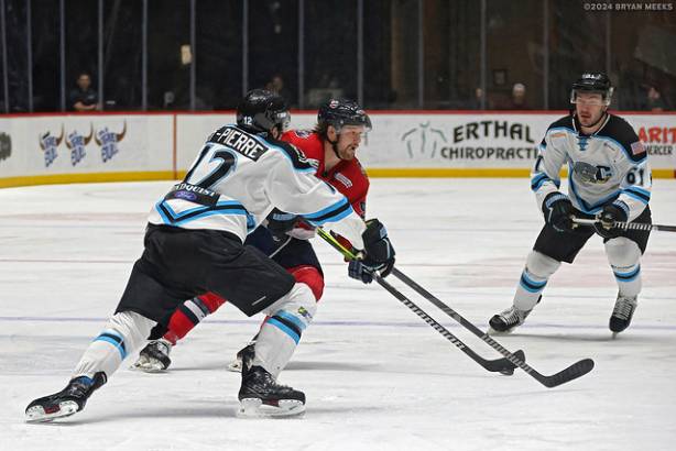 Macon Mayhem 240115_DN_SS_IMG_3759_MHP